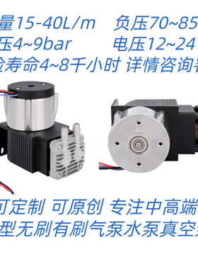 高压力8bar无刷活塞泵35升每分钟dc12v24v连续可长寿命不间断工作