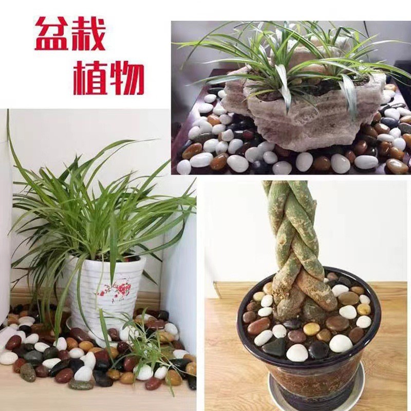 热销厂家供应铺路花园庭院造景彩色卵石工程鹅卵石园艺抛光雨花石