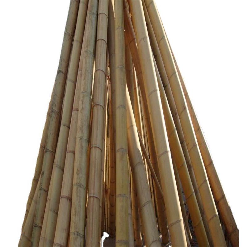 干燥白竹毛竹竿装饰白竹供应竹竿