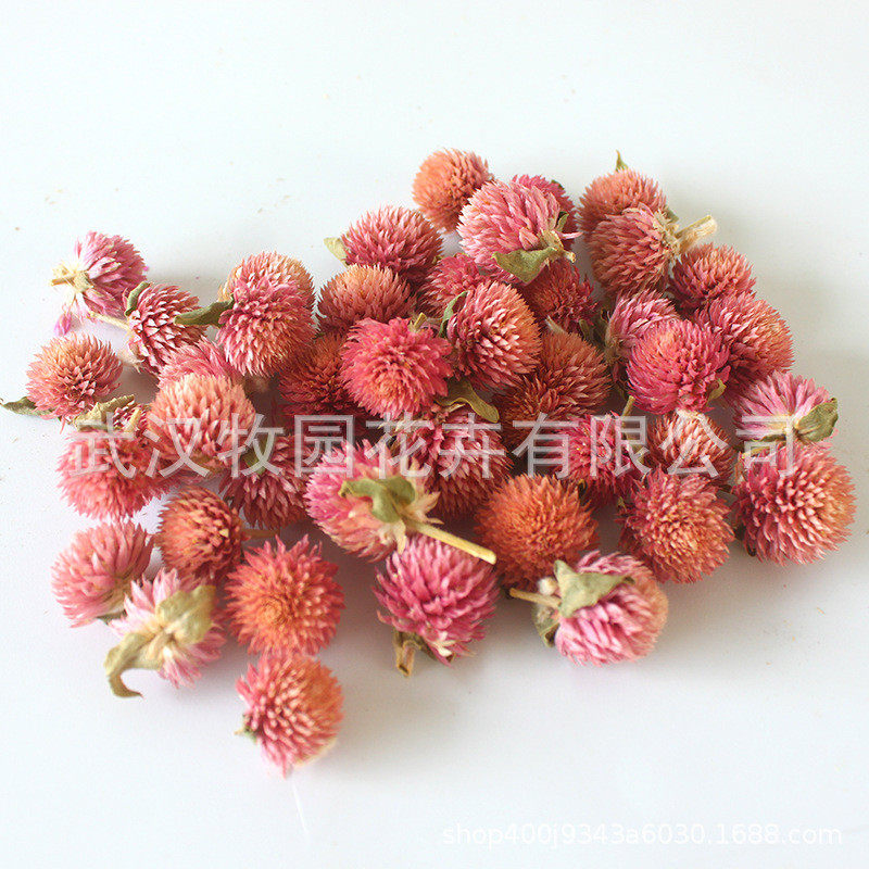 千日红干花熏千日粉花头千日白diy材料千日紫香批发浮游花