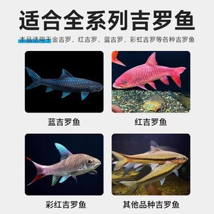 海豚吉罗鱼专用饲料鱼食艳吉罗金红吉罗鱼颗粒增蓝诱色缓沉型鱼粮