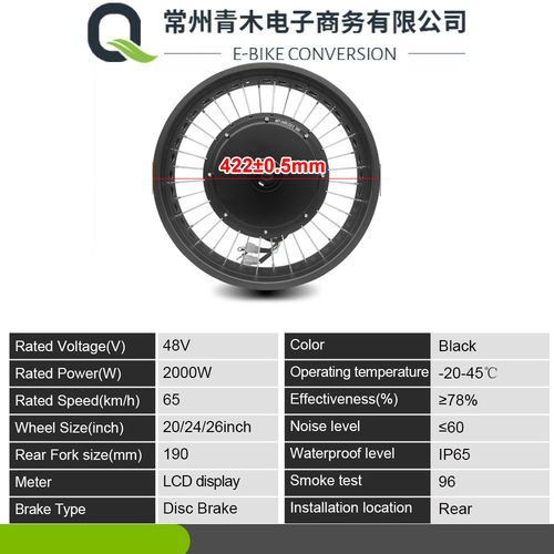 热销雪地车胎胖胖改装电动助力套件48v2000w20寸后驱旋飞sw900仪