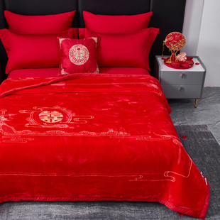 拉舍尔毛毯双层加厚云毯柔软盖毯丝毯保暖冬季毯婚庆陪嫁天绒被子