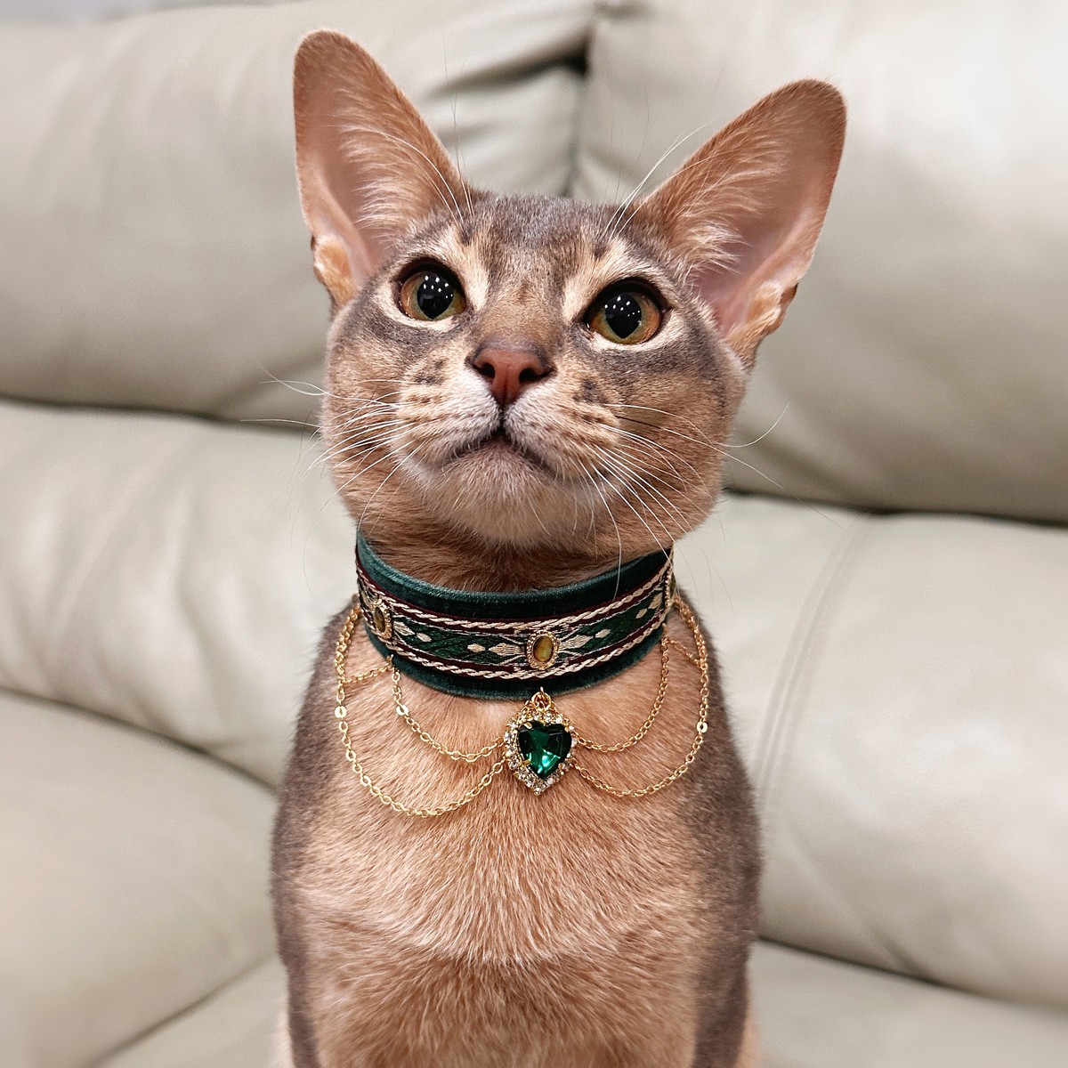 猫咪项圈宠物饰品好看项圈挂饰猫猫脖套埃及阿比宝石高贵流苏猫圈