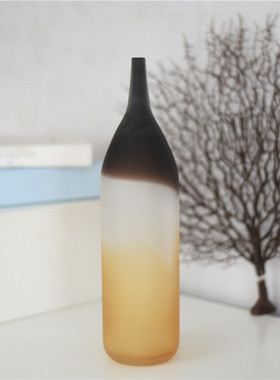 美式磨砂玻璃彩色花瓶摆件小口渐变艺术电视背景墙展柜家居装饰品