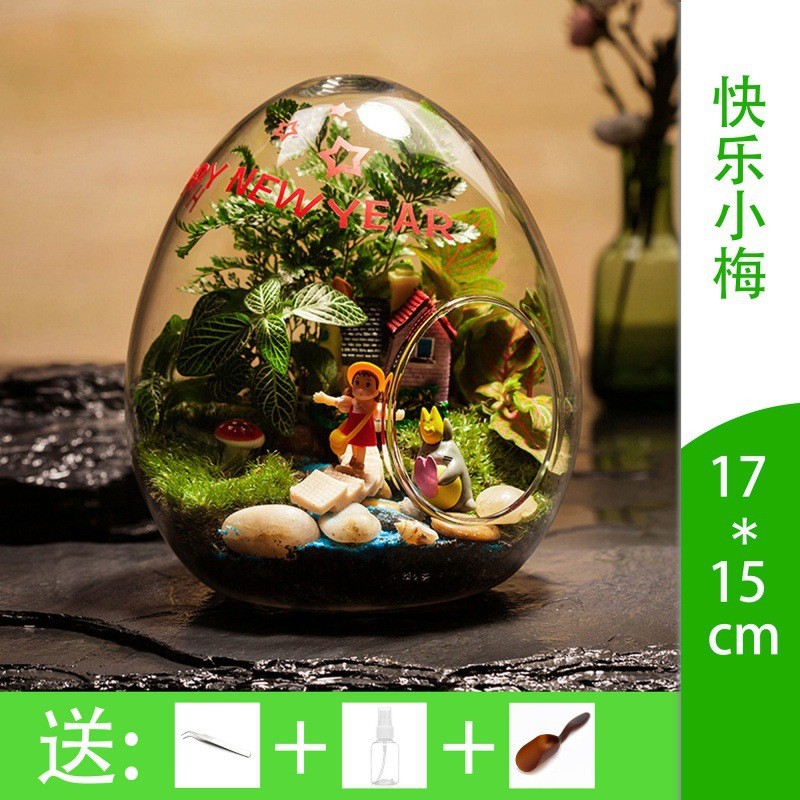微景观摆件微观苔藓盆栽物玻璃组合绿植生态瓶材料包盆景套装