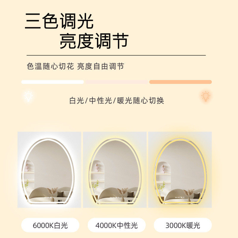 化妆镜壁挂椭圆梳妆镜卧室挂墙led异形智能镜带灯发光梳妆台镜子