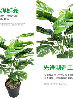 可龟背绿色花艺盆景flowers定制草仿真绿植龟背叶仿真植物盆栽