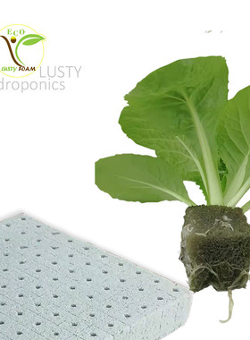 新生代易分解无土栽培育苗系统叶菜水培定植棉育苗基质nft块
