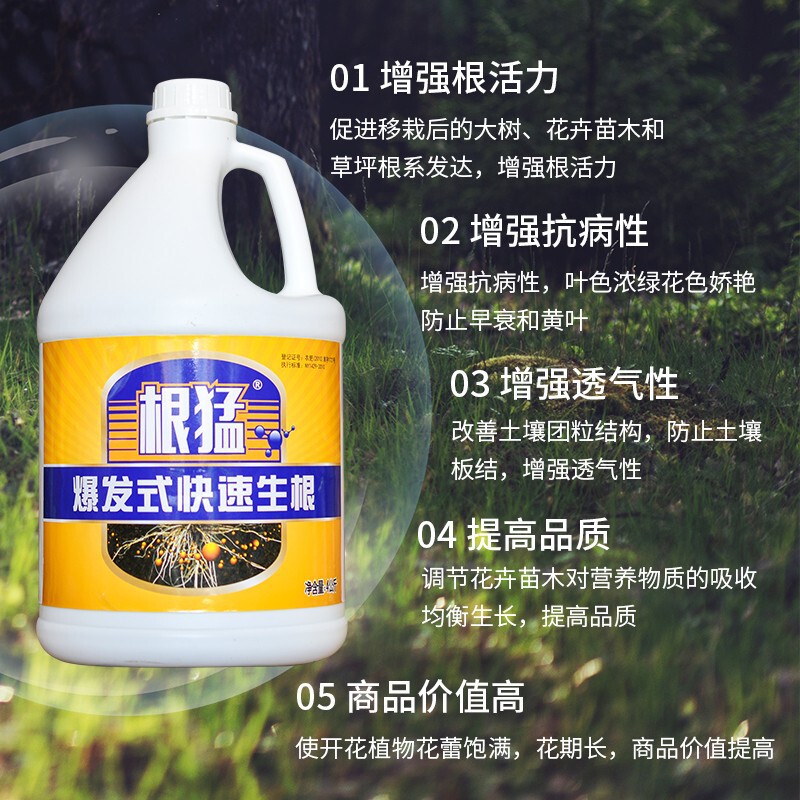 生根液移栽花苗扦插移植多肉生根植物营养液强力花卉剂壮苗发根剂