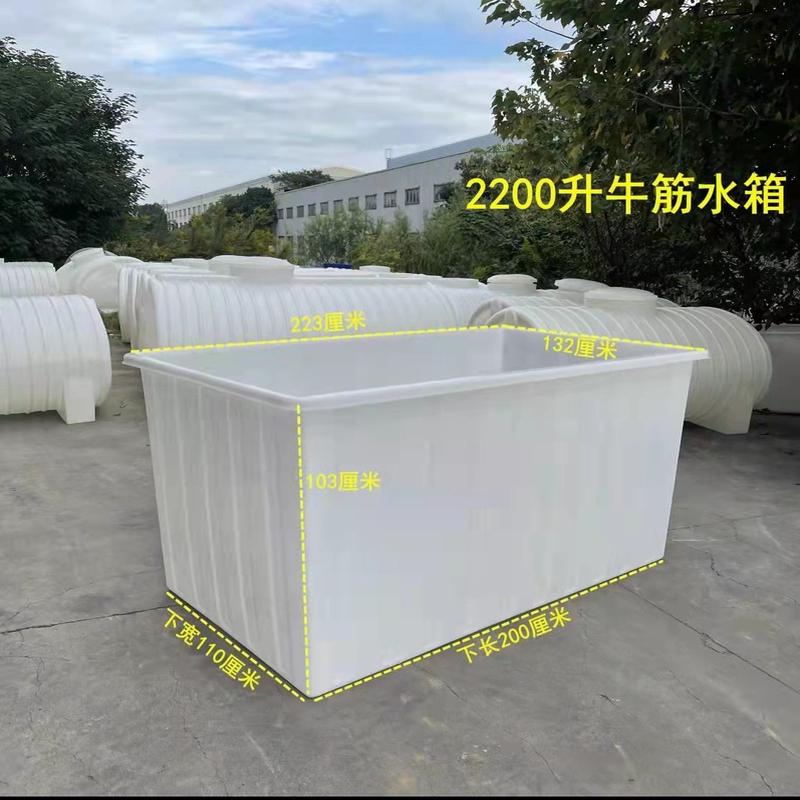 19ek加厚牛筋塑料水箱养鱼长方形大号箱水产养殖养鱼方桶养龟