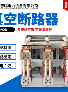 ZN28户内高压手车式真空断路器柜内真空开关户内高压真空断路器