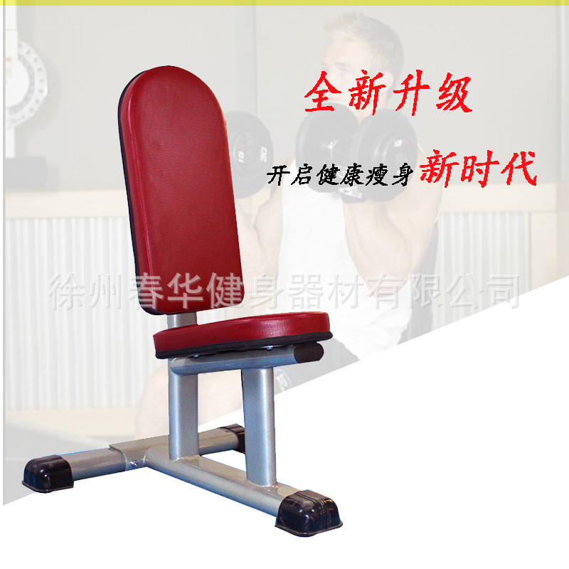 哑铃凳商用健身椅直角凳罗马椅推肩椅综合训练凳男士哑铃椅可调凳