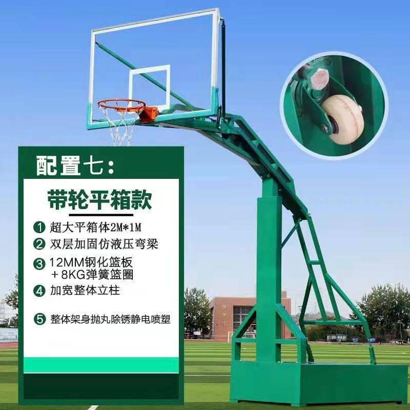 海燕式双飞篮球架标准篮球架双臂室内室外可升降家用篮球架