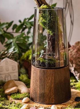 轻奢玻璃花瓶实木底水养富贵竹马醉木插花干花器客厅餐桌摆件