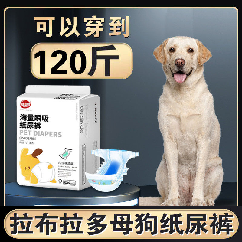 拉布拉多母狗狗专用生理裤女狗大姨妈巾纸尿裤大狗尿不湿大型幼犬