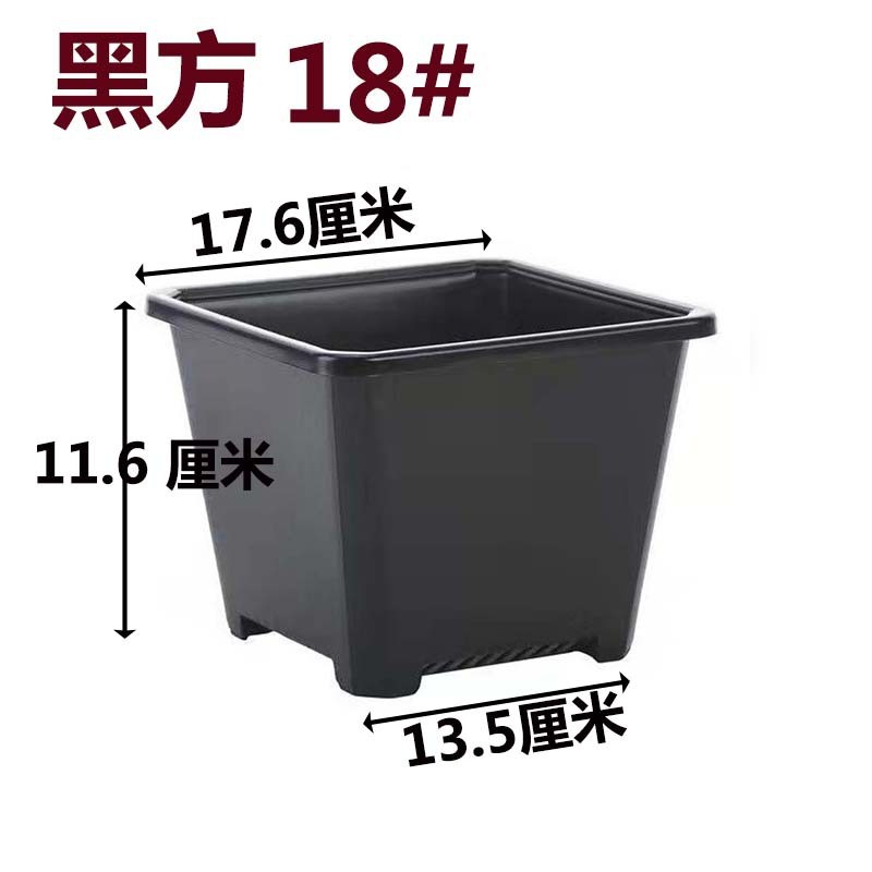 景天盆黑方白方多肉育苗盆批发花盆加厚电商黑色白色方盆基地