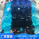 承接圆柱形亚克力各种制作设计厂家供应鱼缸海洋水族馆大型观赏缸