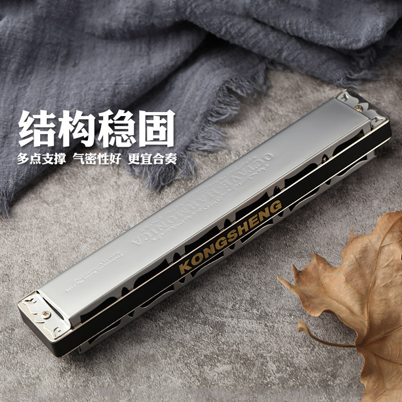 热销孔声24孔成人演奏c调口琴专业初学者练习重音进阶乐器no.2430