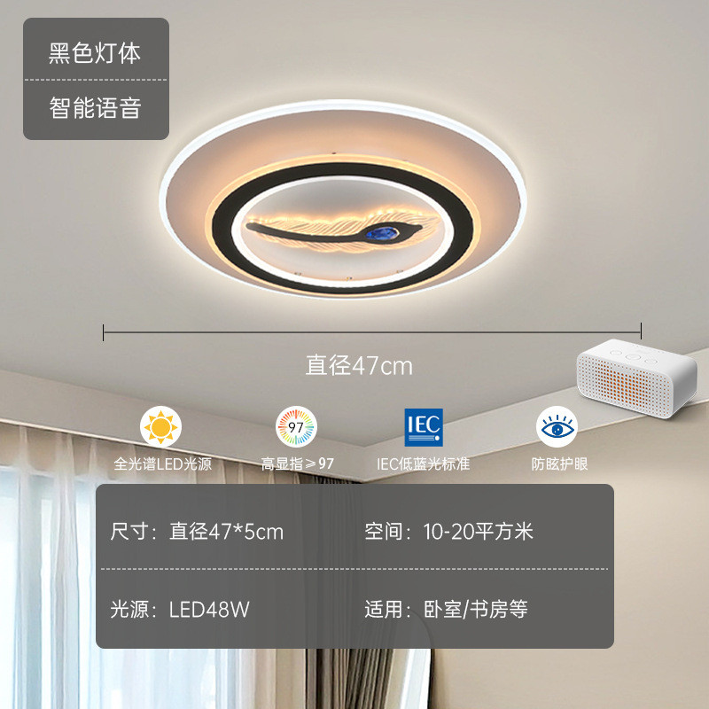 客厅灯2023年新款长方形单羽毛轻奢现代简约卧室灯led吸顶灯灯具