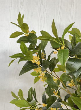 桂花树仿真玉兰花束大型室内人造假树仿真盆景假树枝造景装饰花树