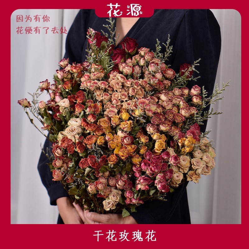 多头玫瑰干花花束批发蔷薇泡泡真花滴胶干花相框材料包辅材配饰