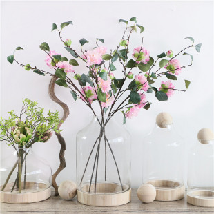 厂家罩原木球实木装饰圆木球透明玻璃罐北欧微景观玻璃花房摆件设