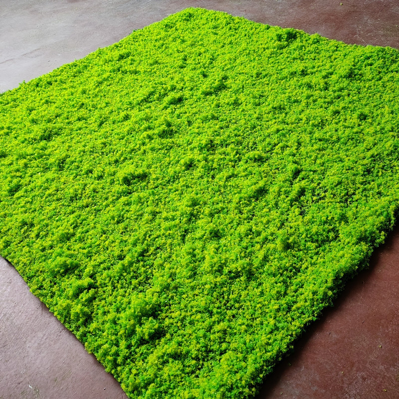 仿真草皮苔藓草坪青苔草皮植物墙配材假草皮装饰苔藓草皮厂家批发