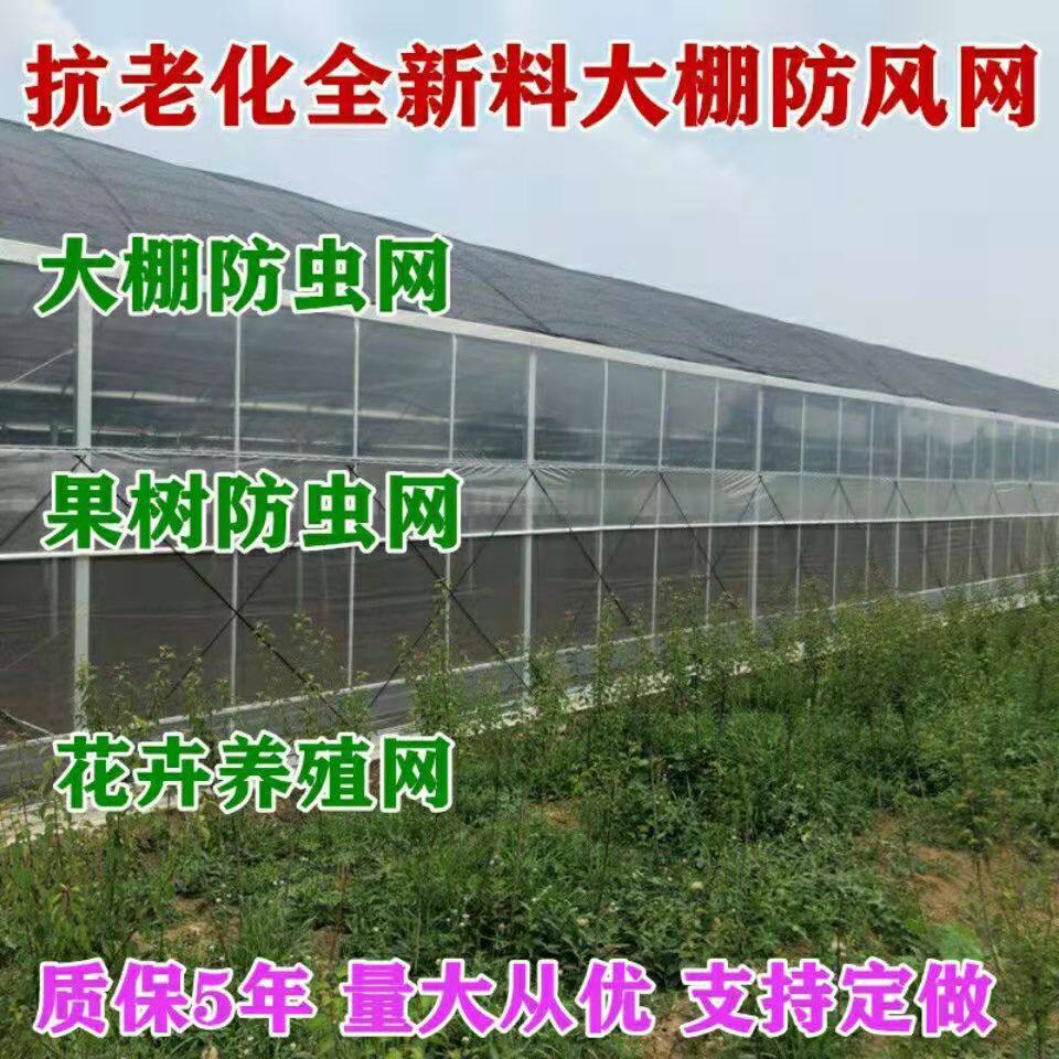 防虫网批发大棚加厚瓜果蔬菜加密防护新料防蚊蚂蚱网防柳絮棉网罩