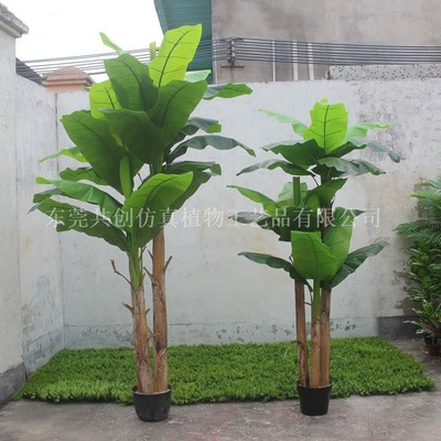 工厂直销手感过胶大叶仿真芭蕉树室内盆景摆件米2.5芭蕉叶假树