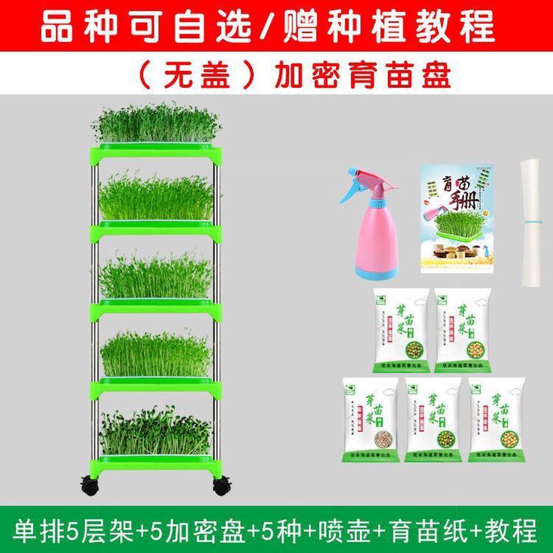 架子育苗盘阳台种菜架生豆芽菜种植盘种植架纸上种菜盆育苗芽苗菜