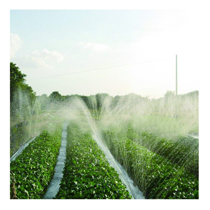 厂家农用灌溉喷灌带园林绿化喷灌孔软管农业果树带洒水pe微喷带