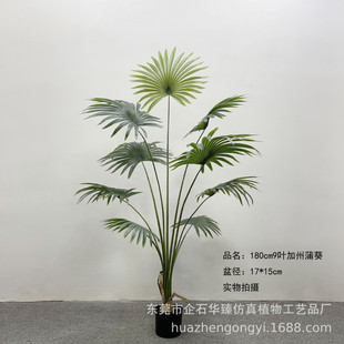 蒲葵仿真植物加州热带盆栽室内落地仿真扇葵蒲葵盆景装饰假绿植