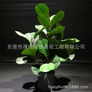 厂家琴叶榕可拆装分体家居客厅办公室绿植摆件批发仿真植物盆栽
