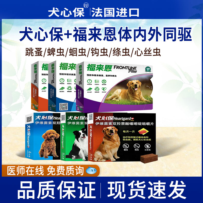 金毛泰迪贵宾体内驱虫跳蚤幼卵