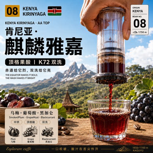 肯尼亚·佳茉妮AA·水洗处理·中烘 麒麟雅嘉手冲咖啡豆 227g