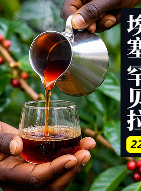 古吉·罕贝拉G1·甄选水洗处理·浅烘 埃塞俄比亚手冲咖啡豆