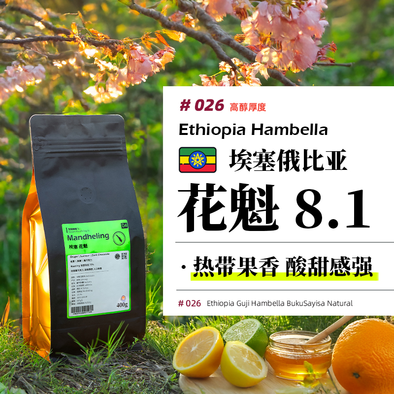 发现咖啡 | 埃塞俄比亚罕贝拉 花魁8.1 咖啡豆 新鲜烘焙可现磨粉
