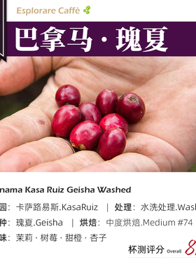 巴拿马·瑰夏·水洗处理·浅烘 卡萨路易斯庄园手冲咖啡豆