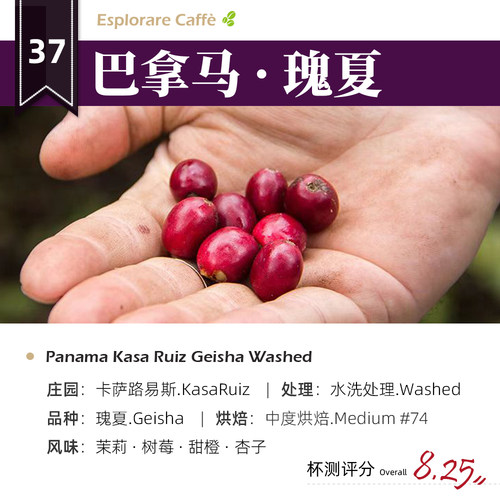 巴拿马·瑰夏·水洗处理·浅烘 卡萨路易斯庄园手冲咖啡豆