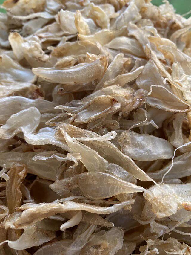 南澳600多头小豆仁胶