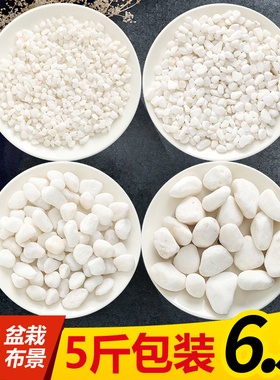鹅卵石天然雨花石小白石子多肉铺面石盆栽花盆养花水培白色石头