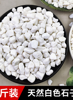 白石子景观石头大小鹅卵石庭院铺路铺地阳台装饰花园白色石子造景
