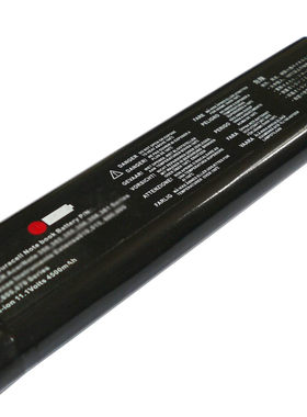 适用 德州 TEXAS EXTENSA 600CD 605CD 655CD 671CDT 450T 电池