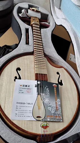 虎丘牌中阮正品4222中阮乐器