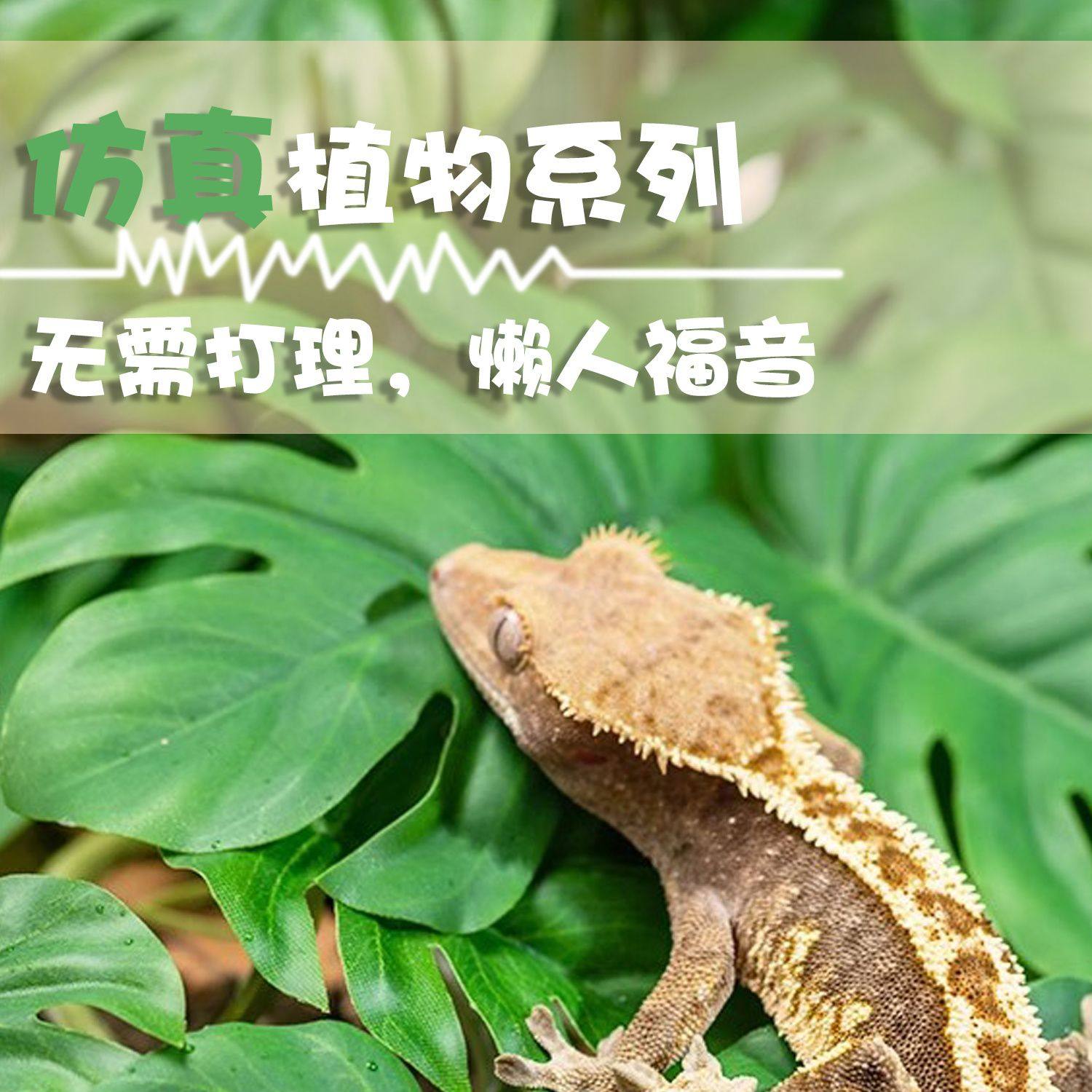 爬宠仿真植物墙绿植墙假花假草绿植背景墙装饰花草绿萝隔断栅栏花,宠物/宠物食品及用品,爬宠躲避/造景,淘宝优惠券,粉丝福利购,淘宝优惠卷