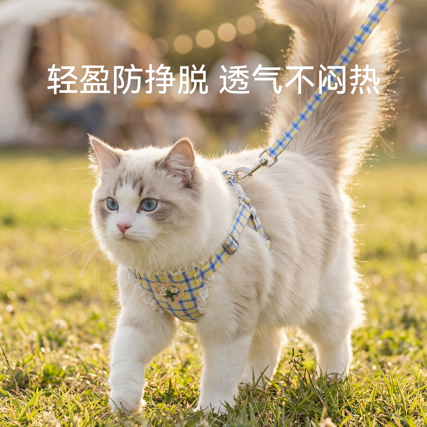 小型犬防挣脱胸背牵引套装图片