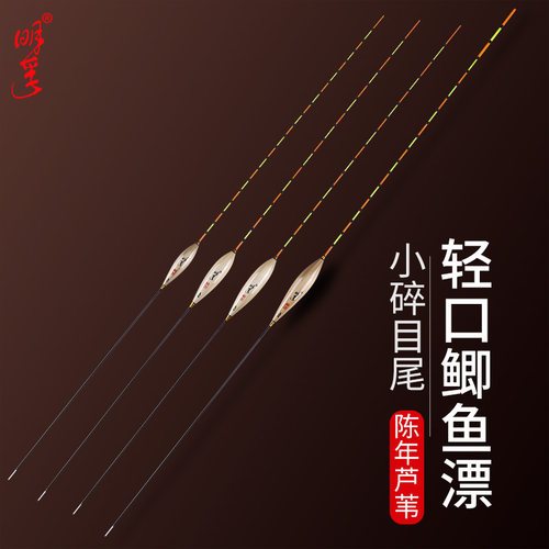 明孚芦苇硬尾立式高灵敏浮漂鲫鱼