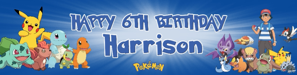 小智精灵神奇宝贝神兽横幅条幅吊饰墙贴生日装饰定制卡通背景布置