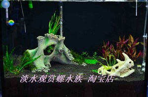 满百包邮 虾缸造景 爬虫水草缸造景装饰 仿真迷你恐龙头骨 袖珍型